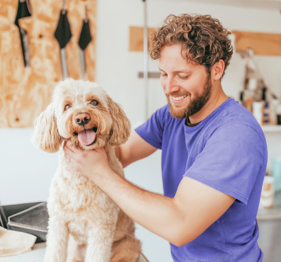Groomer secando a un perro de pelo rizado