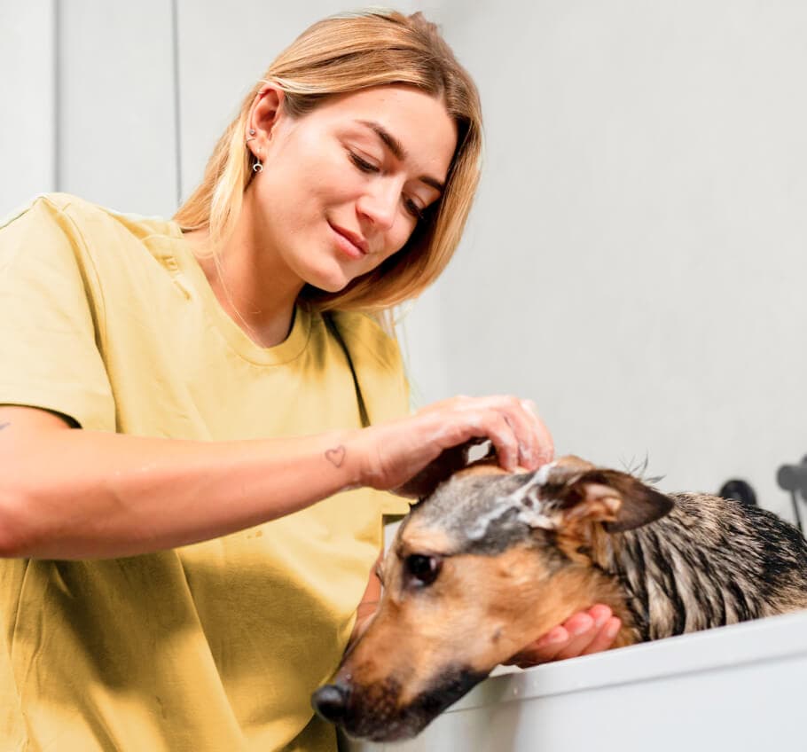 Groomer bañando a un perro